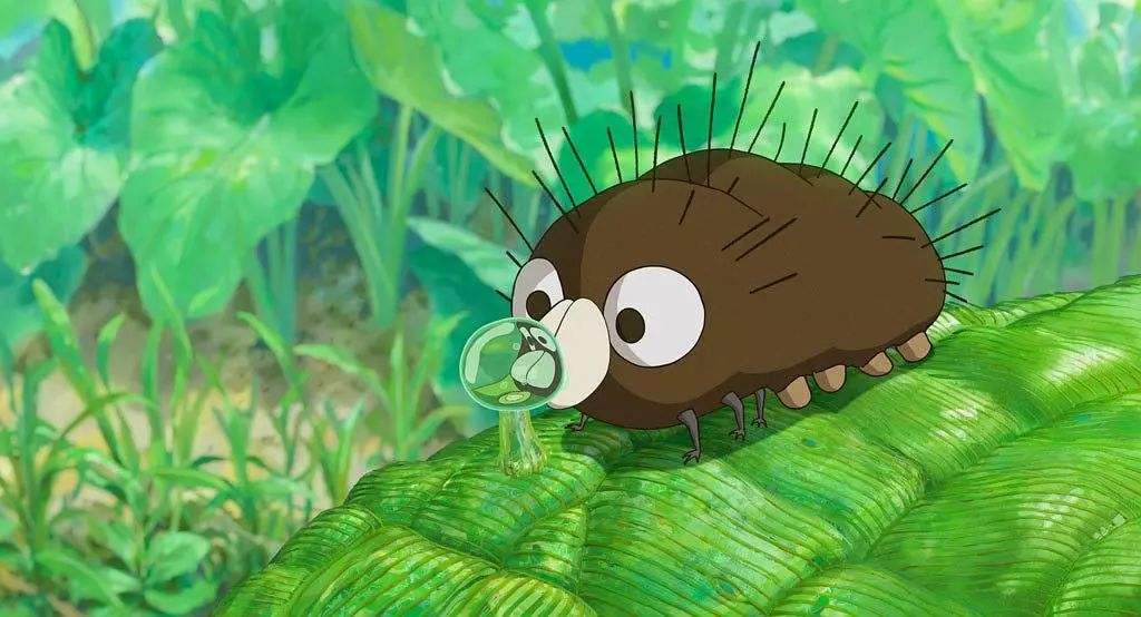 毛毛虫菠萝